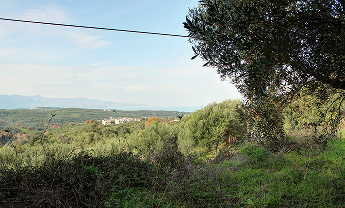 PANORAMIC VIEW FROM PEACEFUL LOCATION