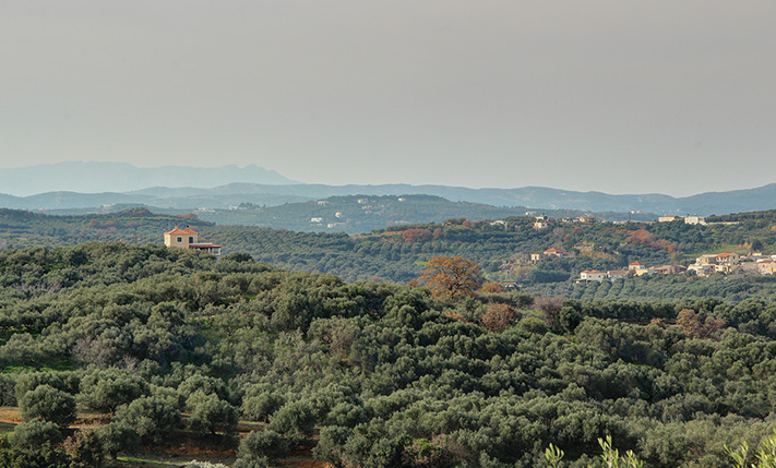 PANORAMIC VIEW FROM PEACEFUL LOCATION
