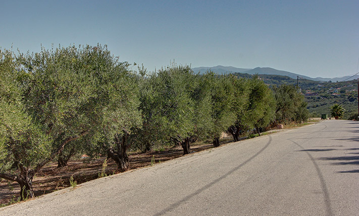 ΤΕΤΡΑΓΩΝΟ & ΕΠΙΠΕΔΟ ΟΙΚΟΠΕΔΟ ΜΕ ΩΡΑΙΑ ΘΕΑ