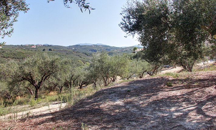 A FLAT AND SQUARE PLOT, BEAUTIFUL VIEW