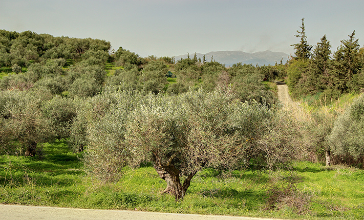 ΕΥΚΟΛΕΣ ΠΡΟΣΒΑΣΕΙΣ ΣΕ ΧΑΜΗΛΗ ΤΙΜΗ