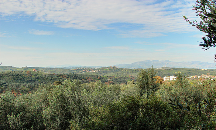 ΕΞΑΙΡΕΤΙΚΟ ΑΚΙΝΗΤΟ ΜΕ ΟΜΟΡΦΗ ΘΕΑ