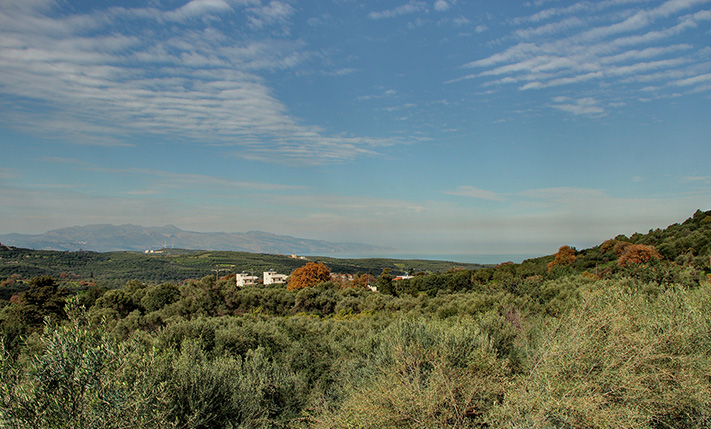 LAND PLOT FOR SALE WITH NICE OPEN VIEWS