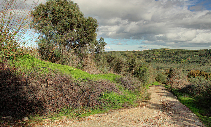 ΟΙΚΟΔΟΜΗΣΙΜΟ ΟΙΚΟΠΕΔΟ ΕΚΤΟΣ ΟΙΚΙΣΜΟΥ