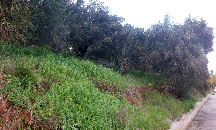 ΚΑΤΑΛΛΗΛΟ ΓΙΑ ΕΜΠΟΡΙΚΗ ΕΚΜΕΤΑΛΛΕΥΣΗ