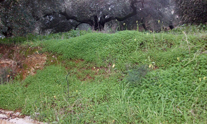 ΚΑΤΑΛΛΗΛΟ ΓΙΑ ΕΜΠΟΡΙΚΗ ΕΚΜΕΤΑΛΛΕΥΣΗ