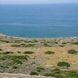 PLS0100 - image 6 PLS0100 - image 6