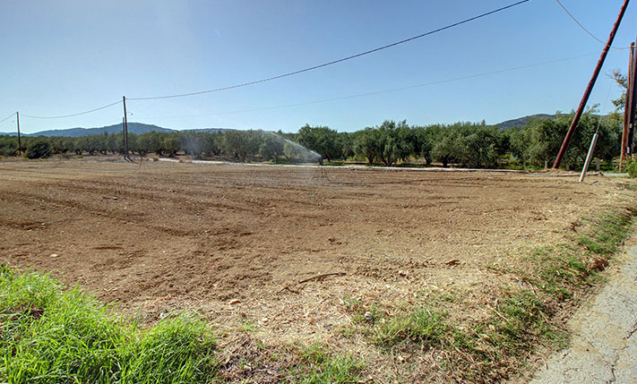 RECTANGULAR RESIDENTIAL PLOT NEAR THE BEACH