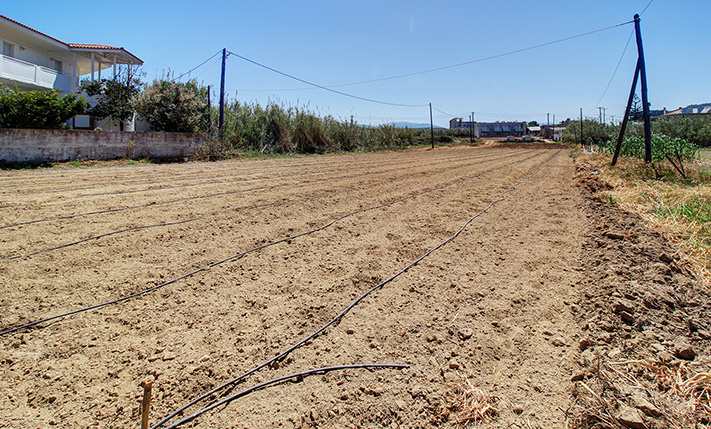 COMMERCIAL PLOT NEXT TO THE SEA