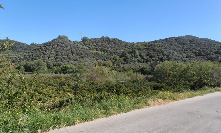 ΟΜΟΡΦΟ ΟΙΚΟΠΕΔΟ ΣΕ ΠΑΡΑΔΟΣΙΑΚΟ ΧΩΡΙΟ