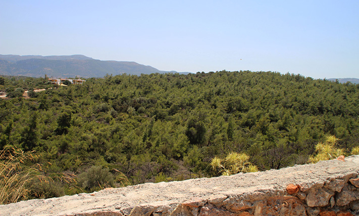 BEAUTIFUL PARCEL WITH PANORAMIC SEA VIEWS