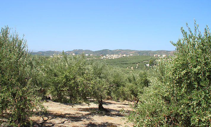 ΕΚΤΑΣΗ ΜΕ ΘΕΑ ΚΟΝΤΑ ΣΤΟ ΚΟΛΥΜΒΑΡΙ