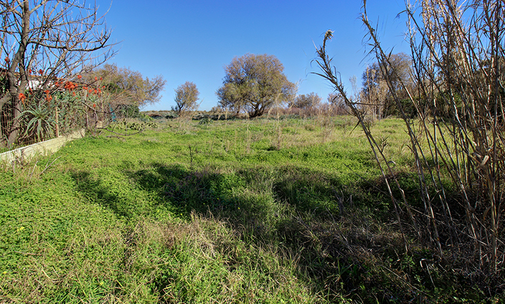 BEACHFRONT, NOT BUILDABLE NEXT TO PLATANIAS