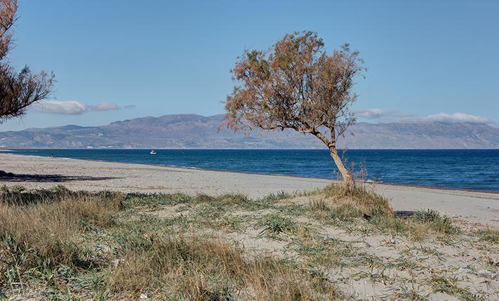 ΧΩΡΙΣ ΔΟΜΗΣΗ, ΣΤΗ ΘΑΛΑΣΣΑ ΔΙΠΛΑ ΣΤΟΝ ΠΛΑΤΑΝΙΑ