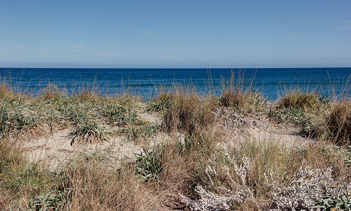 BEACHFRONT, NOT BUILDABLE NEXT TO PLATANIAS