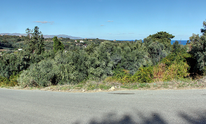 WEST FACING LOPE WITH PANORAMIC VIEWS