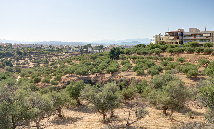 LARGE PLOT WITH VIEWS IN THE CITY OF CHANIA