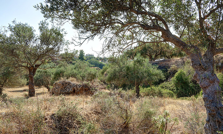 GROßES GRUNDSTÜCK MIT BLICK AUF CHANIA
