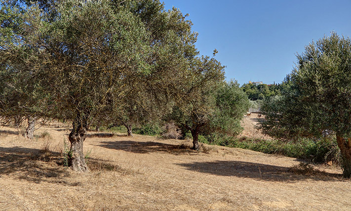 LARGE PLOT WITH VIEWS IN THE CITY OF CHANIA