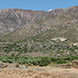 PLS0203 - image 7 PLS0203 - image 7