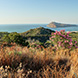 PLS0296 - image 1 PLS0296 - image 1