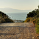 PLS0296 - image 12 PLS0296 - image 12