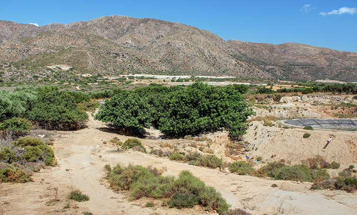 ΜΕΓΑΛΟ ΟΙΚΟΠΕΔΟ ΣΤΟ ΔΡΟΜΟ ΓΙΑ ΕΛΑΦΟΝΗΣΙ
