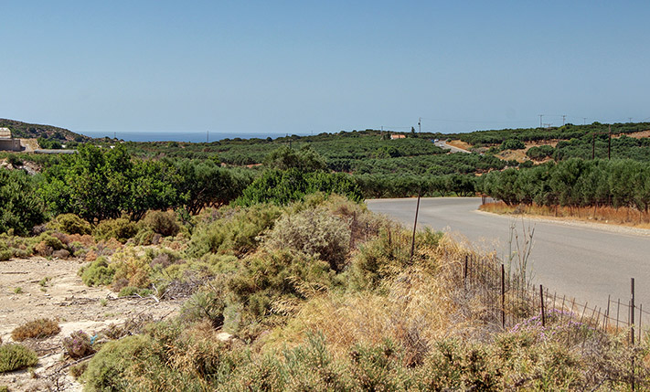 LARGE PLOT ON THE ROAD TO ELAFONISI