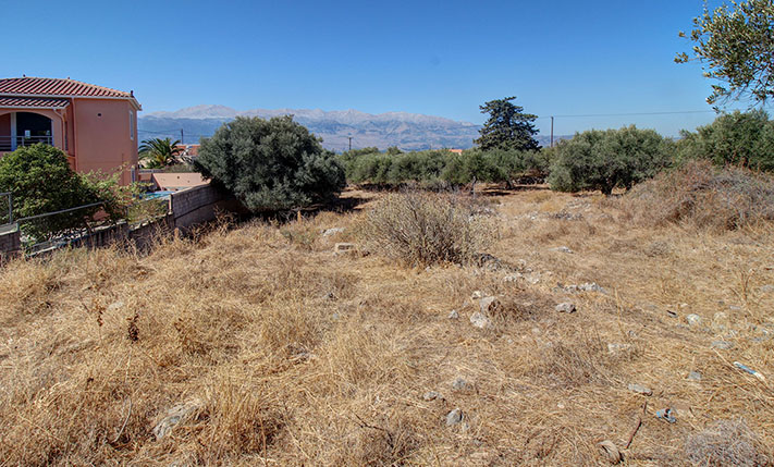 LAND WITH OLIVE TREES IN A LOVELY VILLAGE