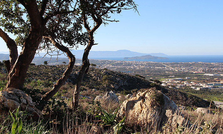 PRESTIGIOUS PARCEL AT THE FRINGE OF THE CITY