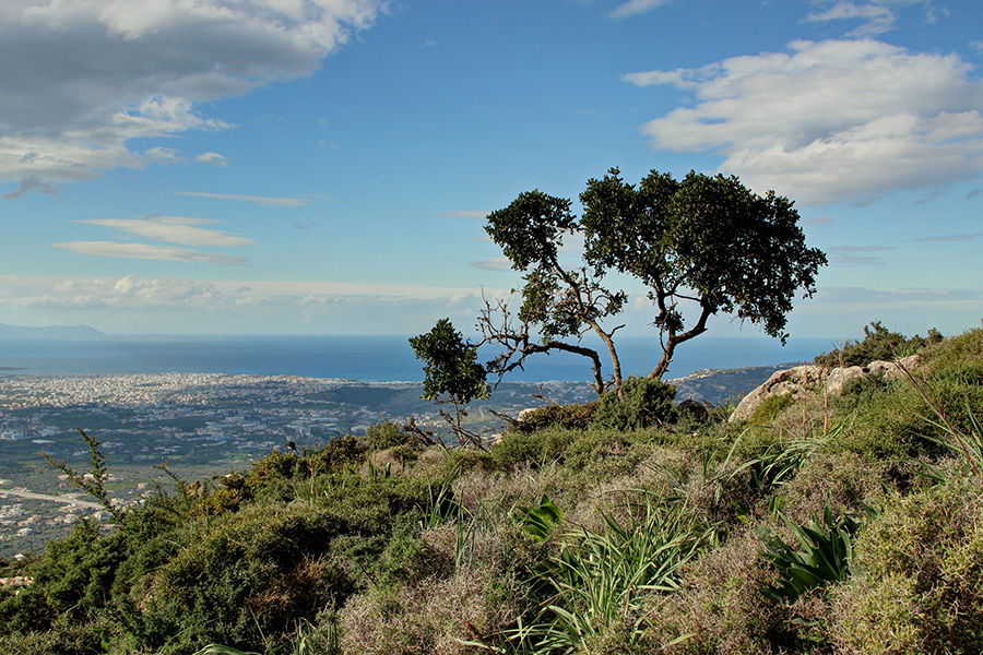 ΠΡΟΝΟΜΙΟΥΧΟ ΟΙΚΟΠΕΔΟ ΜΕ ΠΑΝΟΡΑΜΙΚΗ ΘΕΑ