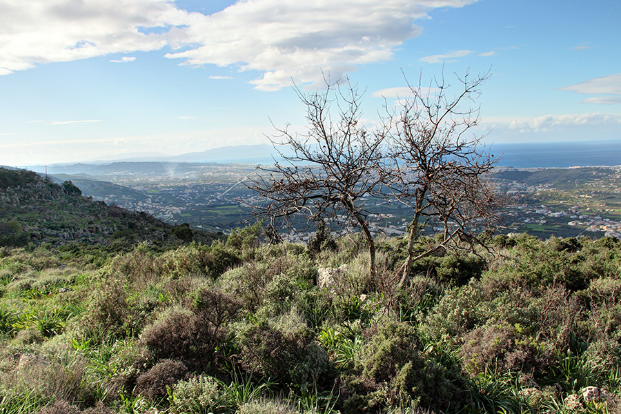PLOT IN A LOCATION WITH PANORAMIC VIEWS