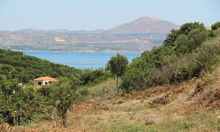 ΕΤΟΙΜΗ ΑΔΕΙΑ ΓΙΑ 2 ΟΙΚΙΕΣ ΚΟΝΤΑ ΣΤΗΝ ΑΛΜΥΡΙΔΑ