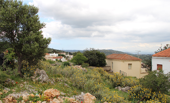 AFFORDABLE LAND WITH UNOBSTRUCTED VIEWS