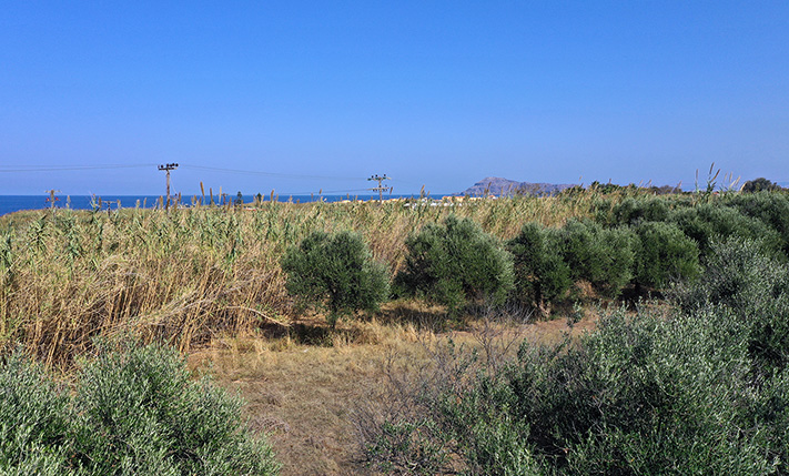 ΣΕ ΥΠΟ ΜΕΛΕΤΗ ΣΧΕΔΙΟ ΚΟΝΤΑ ΣΤΗ ΘΑΛΑΣΣΑ