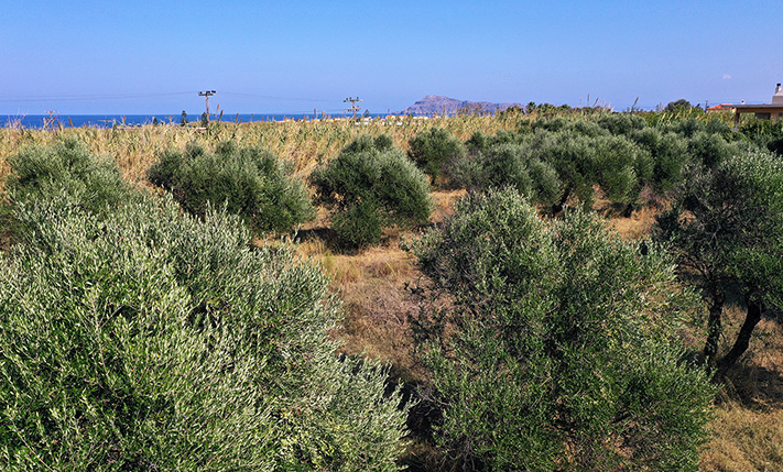 ΣΕ ΥΠΟ ΜΕΛΕΤΗ ΣΧΕΔΙΟ ΚΟΝΤΑ ΣΤΗ ΘΑΛΑΣΣΑ