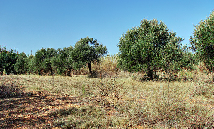 ΣΕ ΥΠΟ ΜΕΛΕΤΗ ΣΧΕΔΙΟ ΚΟΝΤΑ ΣΤΗ ΘΑΛΑΣΣΑ
