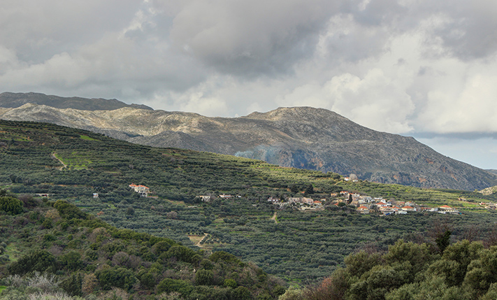 A LUSH HILLSIDE WITH ECSTATIC VIEWS