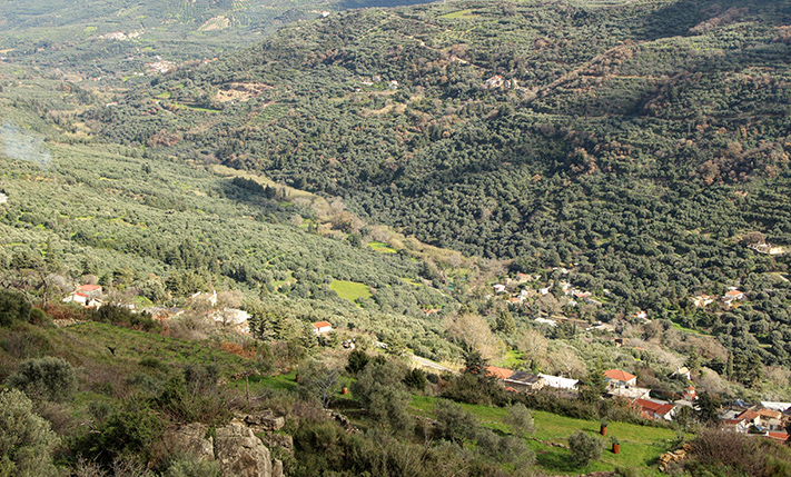 A LUSH HILLSIDE WITH ECSTATIC VIEWS