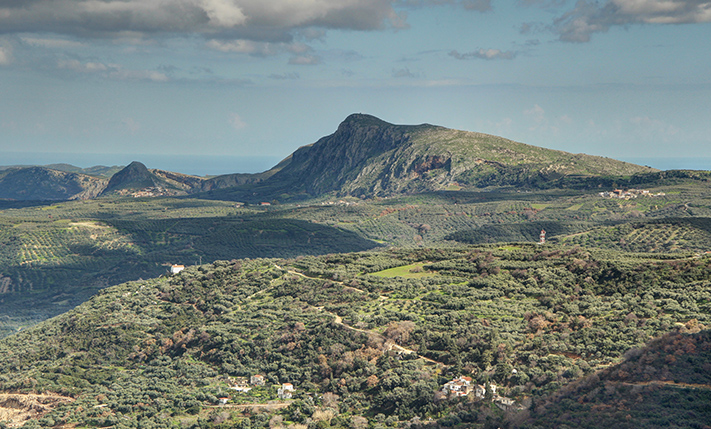 A LUSH HILLSIDE WITH ECSTATIC VIEWS