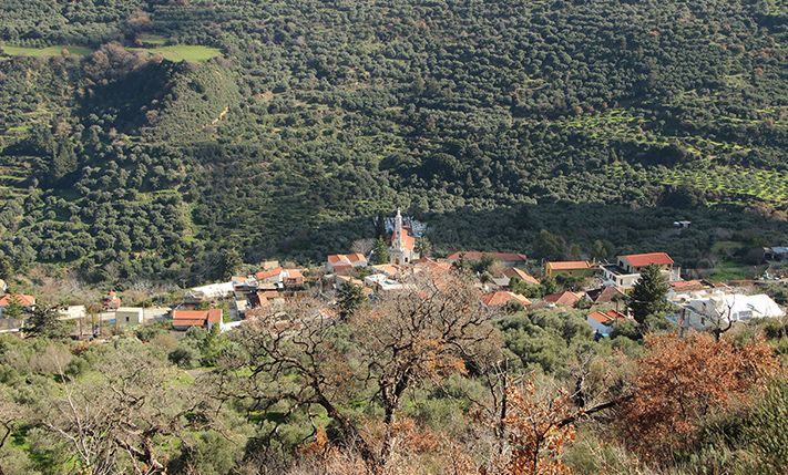 A LUSH HILLSIDE WITH ECSTATIC VIEWS