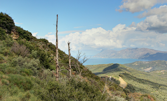 A LUSH HILLSIDE WITH ECSTATIC VIEWS