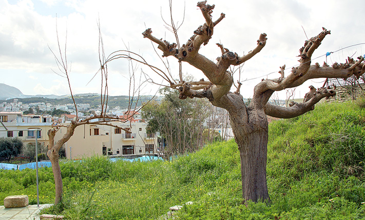 IN THE HEART OF THE CITY OF RETHYMNON