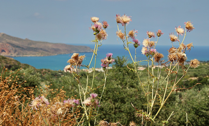 SPACIOUS PARCEL WITH PANORAMIC SEA VIEWS