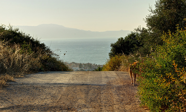 SPACIOUS PARCEL WITH PANORAMIC SEA VIEWS