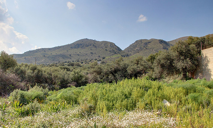 FLAT LAND PLOT WITH NICE VIEWS
