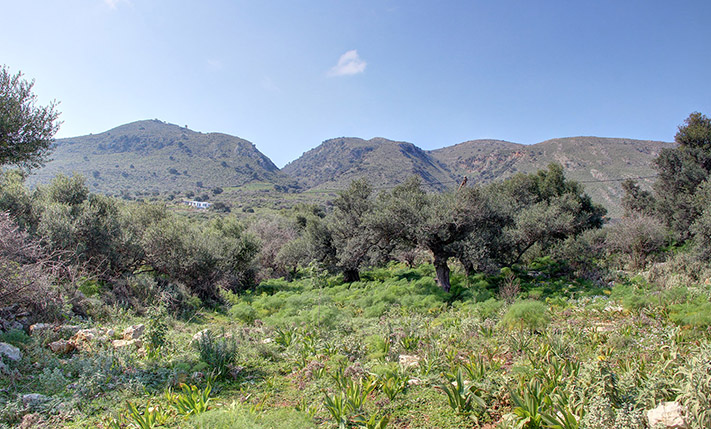 FLAT LAND PLOT WITH NICE VIEWS