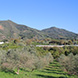 PLS0312 - image 3 PLS0312 - image 3