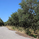 PLS0331 - εικόνα 2 PLS0331 - εικόνα 2