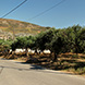 PLS0392 - image 6 PLS0392 - image 6